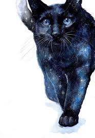 Galaxy Cat Blue Eyes Stars How To Draw Easy Things White Background Galaxy Drawings Cool Drawings Colorful Drawings