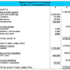 Late surcharge provisions apply if the director's income tax return is not submitted by the due date. 1