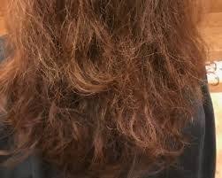 Image Result For Images Of Severe Split Ends Long Hair Styles Split Ends Hair Styles