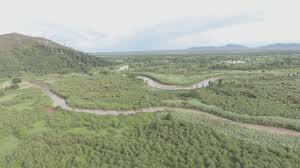 Savesave perlindungan flora dan fauna for later. Mendorong Penguatan Perlindungan Ekosistem Hutan Batang Toru Walhi