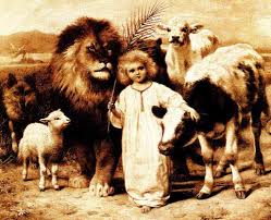 They Shall Not Hurt Or Destroy Chapter 8 Animals Have Souls The Writings Of Vasu S Murti Human Rights Social Justice Animal Rights Peace Love