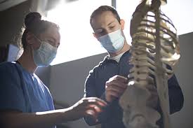 We did not find results for: How To Become A Chiropractor Northwestern Health Sciences University