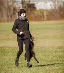 Irregular verbs, auxiliary verbs, conjugation rules and conjugation models in french verb conjugation. Simonne Raffa Comportementaliste Et Educateur Canin A Montreal