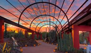 Desert Botanical Garden In Phoenix Arizona Arizona Travel Arizona Adventure Desert Botanical Garden