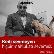 kedi sevmeyen hicbir mahlukati sevemez yasar kemal ajanimo ajanbrian unlusozler kedi kopek candostu durdur zamani turke yazarlar hayvan haklari kedi