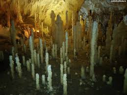 Pestera ursilor a fost descoperita la 17 septembrie 1975, in urma unei dinamitari in cariera de marmura de la chiscau. Excursie Salina Turda Pestera Ghetarul De La Scarisoara Pestera Ursilor Impresii DescoperÄ Ardealul Excursii Èi CÄlÄtorii Amfostacolo