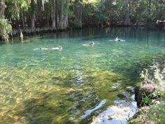 7 campgrounds ideas campground florida springs florida travel pinterest