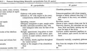 Image result for Manniella