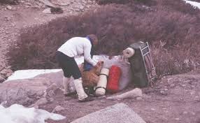 Image result for Desert Tan 1972 Hussmann