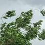 Monsoon Storms Could Bring Flash Flooding, 58 MPH Winds To Tucson