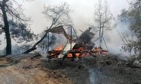 The fires have killed three people and forced. Nqiuy8axvgilkm