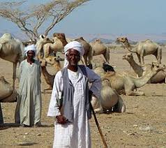 نتیجه جستجوی لغت [nomadic] در گوگل