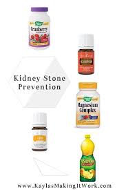 Kidney Stone Prevention Kidney Stones Kidney Stone Diet Kidney