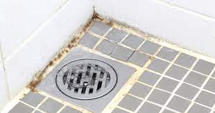 Remove Mold In Shower Caulking