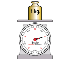 0.4 kilogram = 400 grams: Are You Smarter Than A 5th Grader Elementary Level 2 Baamboozle