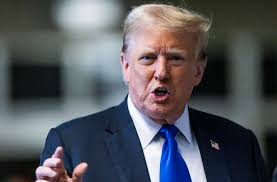 Trump nombra dos nuevos altos cargos para ejecutar su política de mano dura  en inmigración