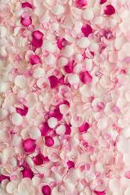Black Background With Rose Petals Rose Petal Background Download This High Resolution Stock Photo By Ruth Black From Iphone Wallpaper Quotes Girly Pink Flowers Wallpaper Flower Phone Wallpaper