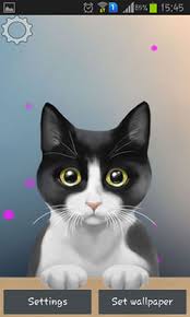 Aug 15, 2020 · cute cat mobile wallpaper mobiles wall hd for blast cats cuteanimals free kitten 1920x1200 your desktop tablet explore 75 wallpapers kittens android funny 48 iphone on wallpapersafari apk baby of posted by samantha walker wallpapertip cute cat mobile wallpaper mobiles wall cute cat wallpaper hd for mobile blast cute cats wallpaper hd for mobile cuteanimals … continue reading cute kitty. Download Free Android Wallpaper Cute Kitty 3167 Mobilesmspk Net