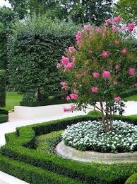 Crepe Myrtle Boxwoods Boxwood Garden Backyard Landscaping Formal Garden