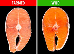 Check out below for information on foods that can help raise good. 8 Healthy Foods That Can Actually Be Bad For You Bright Side