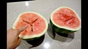 Jul 13, 2020 · how to tell if a watermelon is bad method 1 of 3: Warning Do Not Eat This Watermelon Youtube