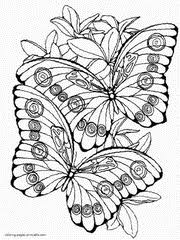 Bambi and butterflies coloring page: Butterfly Coloring Pages Free Printable Pictures For Kids