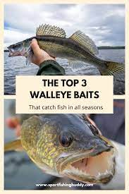 Best Walleye Bait Walleye Fishing Walleye Bait Crappie Fishing Tips