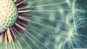 If you have one of your own you'd like to share, send it to us and we'll be happy to include it on our website. 46 Pinterest Desktop Wallpapers On Wallpapersafari