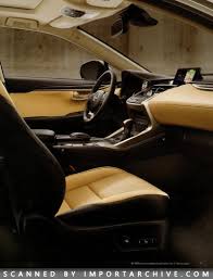 Image result for Fire Agate 2015 NX