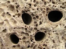 I datteri di mare appartengono ad una specie protetta e per questo motivo la loro pesca è praticamente vietata nel nostro paese. Che Vuol Dire In Geologia Lithophaga Lithophaga Dattero Di Mare