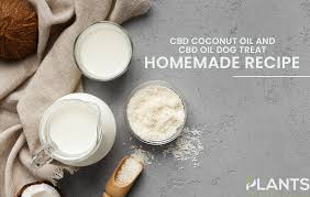 $ cbd dog treat recipe. Meqsfffdypegym