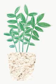 Download Premium Png Of Watercolor Tropical Potted Plant 2023106 Plants Cactus Design Aloe Vera Plant
