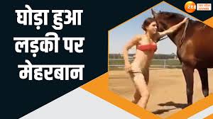 Viral Video: बार-बार कोशिश के बाद भी नाकाम हुई लड़की पर घोड़े को आया तरस,  फिर किया ये काम
