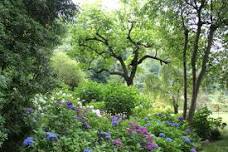 Herbal Medicine Circle is BACK!