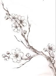 Saucer magnolia is a multi stemmed spreading tree 25 feet tall with a 20 to 30 foot. Little Sparrow Tattoo Cherry Blossom Tattoo Flower Sketches Pencil Illustration