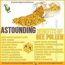 Benefits Of Bee Pollen Coconut Health Benefits Fruit Health Benefits Herbalism
