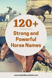 Horses are used as a mode of transportation for cowboys back in the days and even until now. 120 Strong And Powerful Horse Names Helpful Horse Hints