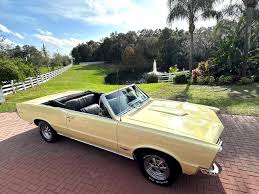 Image result for Mayfair Maize 1965 GTO