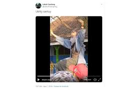 Twitter ukhti syahwat muslimah viral memang saat ini tengah trending dan viral di media sosial. Santuy Abis Ukhti Ini Asyik Joget Di Atas Pagar Saat Nonton Pawai Hitekno Com