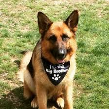 Corey Acord-Fain (acordfain)