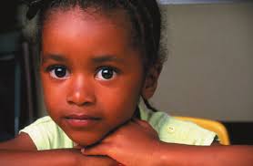 The School District of Palm Beach County