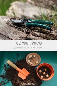 9 The 10 Minute Gardener Quick Gardening Jobs For Early Autumn Growing Family Quick Garden Garden Pests Garden Projects