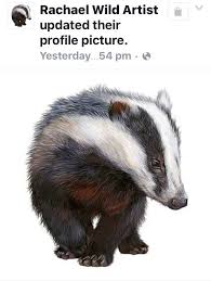 Pin By Elisa Norma On Basically Animals Badger Illustration Animals Artwork Animal Drawings
