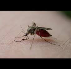 Pdb tiongkok harus diwaspadai untuk saham china yang bullish dan untuk pedagang valas, ktt uni eropa mungkin melihat dana pemulihan uni eropa disepakati, rapat ecb dan jauh lebih banyak dalam minggu ini ke depan. Indonesia Gavi The Vaccine Alliance