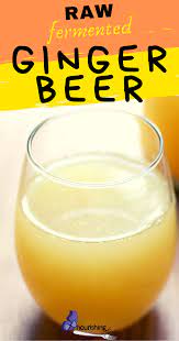 raw fermented ginger beer recipe easy homemade soda recipe ginger beer recipe homemade ginger beer fermentation recipes