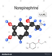 Image result for Norepinephrine