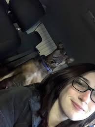 Sonic Corn dogs definitely Djent