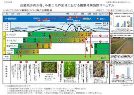 Https Www Nosai Hyogo Or Jp Old Syokubutuboueki2018no 2 Pdf