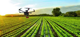 En vivo estudio central radio agricultura. Agricultura De Precision Drones E Indices De Vegetacion Innovatione