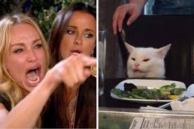 This Woman Yelling At A Cat Meme Is Still My Favorite Thing On The Internet Create Memes Cats Cat Memes